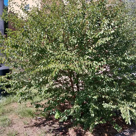 John's Corfu Chrisiida Sea View Villa *